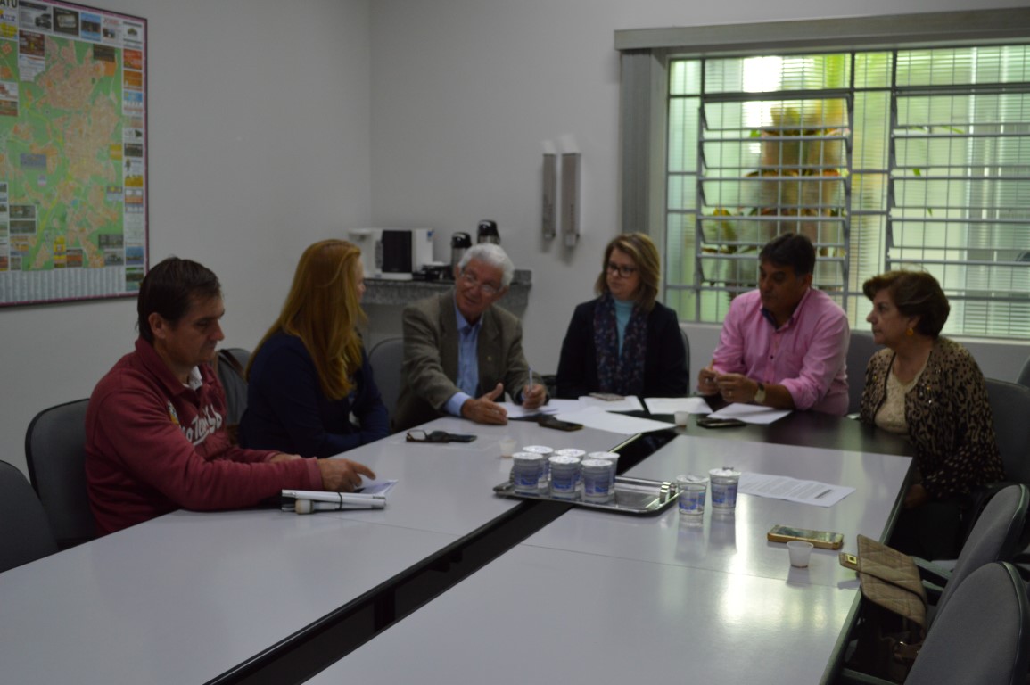 Consultora da CPFL participa de reunião na Câmara